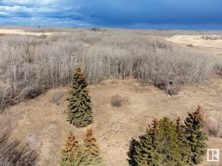 Photo 28: 23246 TWP  RD 521A: Rural Strathcona County Vacant Lot/Land for sale : MLS®# E4384068