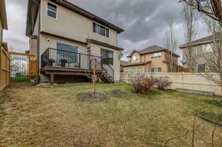 Photo 43: 200 EVERBROOK Drive SW in Calgary: Evergreen Detached for sale : MLS®# A1102109