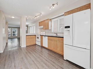 Photo 4: 2017 36 Avenue SW in Calgary: Altadore Detached for sale : MLS®# A2003032