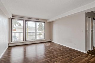 Photo 7: 203 1113 37 Street SW in Calgary: Rosscarrock Apartment for sale : MLS®# A2080101