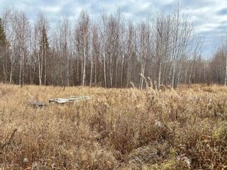 Photo 7: LOT 1 MCCONACHIE CREEK Road in Fort Nelson: Fort Nelson - Rural Land for sale : MLS®# R2826243