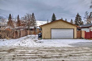 Photo 38: 3507 Cedarille Drive SW in Calgary: Cedarbrae Detached for sale : MLS®# A2104371