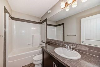 Photo 26: 554 Sherwood Boulevard NW in Calgary: Sherwood Detached for sale : MLS®# A2120295