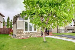Photo 49: 19 Wiley Crescent: Red Deer Detached for sale : MLS®# A1227655