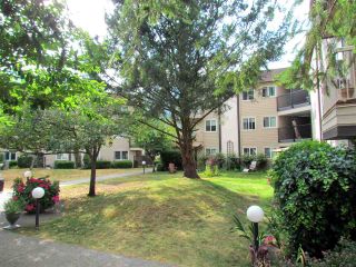 Photo 5: B303 40120 WILLOW CRESCENT in Squamish: Garibaldi Estates Condo for sale : MLS®# R2294966