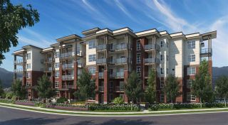 Photo 1: 202 22577 ROYAL Crescent in Maple Ridge: East Central Condo for sale in "THE CREST" : MLS®# R2251816