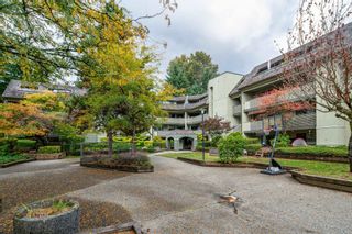 Photo 37: 302 1200 PACIFIC Street in Coquitlam: North Coquitlam Condo for sale in "GLENVIEW MANOR" : MLS®# R2853207