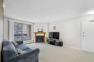 Photo 14: 203B 7301 4A Street SW in Calgary: Kingsland Apartment for sale : MLS®# A2106207