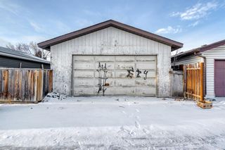Photo 31: 15 Abergale Place NE in Calgary: Abbeydale Detached for sale : MLS®# A2013732