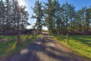 Photo 20: 29367 DOWNES Road in Abbotsford: Bradner House for sale : MLS®# R2662546