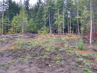 Photo 4: 2655 Cowan  Road: Vacant Land for sale : MLS®# 10264639