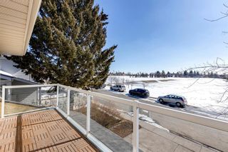 Photo 38: 164 Whitlow Place NE in Calgary: Whitehorn Detached for sale : MLS®# A2030961