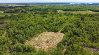 Photo 8: RR51 Twp Rd 550: Rural Lac Ste. Anne County Rural Land/Vacant Lot for sale : MLS®# E4266697