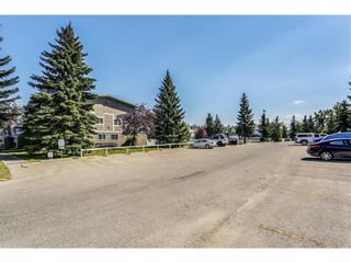 Photo 39: 93 3015 51 Street SW in Calgary: Glenbrook Row/Townhouse for sale : MLS®# A1216957