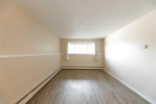 Photo 10: 22 366 94 Avenue SE in Calgary: Acadia Apartment for sale : MLS®# A2121640