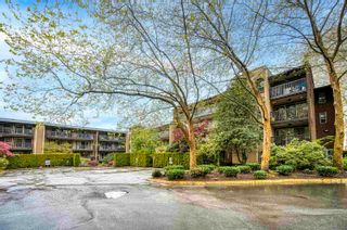 Photo 19: 214 9847 MANCHESTER Drive in Burnaby: Cariboo Condo for sale in "Barclay Woods" (Burnaby North)  : MLS®# R2692003