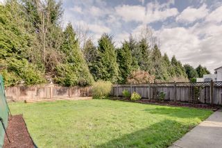 Photo 31: 20145 119A Ave West Maple Ridge Basement Entry Home For Sale