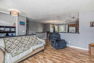 Photo 13: 349 Strathford Boulevard: Strathmore Detached for sale : MLS®# A2082198