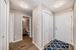 Photo 33: 209 1717 60 Street SE in Calgary: Red Carpet Apartment for sale : MLS®# A2133379