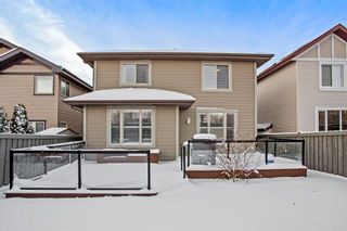 Photo 46: 407 AINSLIE Crescent in Edmonton: Zone 56 House for sale : MLS®# E4271747
