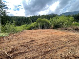 Photo 7: Lot J Tootouch Rd in Tahsis: NI Tahsis/Zeballos Land for sale (North Island)  : MLS®# 931897