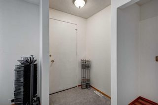 Photo 16: 150 Dovercliffe Close SE in Calgary: Dover Detached for sale : MLS®# A2130723