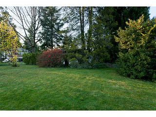 Photo 9: 12455 217TH Street in Maple Ridge: West Central House for sale : MLS®# V1002146
