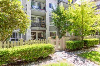 Photo 14: 107 1150 E 29TH Street in North Vancouver: Lynn Valley Condo for sale in "HIGHGATE" : MLS®# R2396288