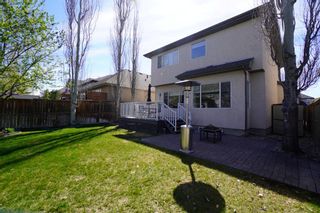 Photo 46: 8 Cranleigh Drive SE in Calgary: Cranston Detached for sale : MLS®# A1204256
