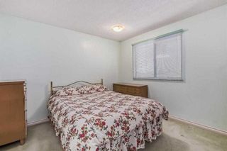 Photo 18: 450 78 Avenue NE in Calgary: Huntington Hills Detached for sale : MLS®# A2130033