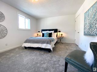 Photo 5: 302 VILLAGE ON THE Green in Edmonton: Zone 02 Townhouse for sale : MLS®# E4384429