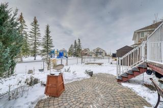 Photo 25: 189 West Creek Pond: Chestermere Detached for sale : MLS®# A2015190