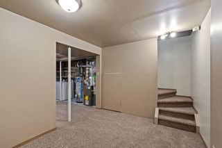 Photo 18: 11 Martinview Crescent NE in Calgary: Martindale Detached for sale : MLS®# A1257379