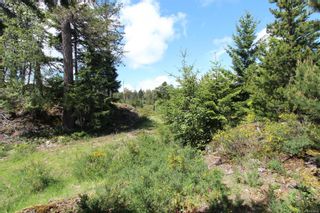 Photo 10: Lot 34 Goldstream Heights Dr in Shawnigan Lake: ML Shawnigan Land for sale (Malahat & Area)  : MLS®# 878268