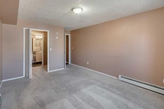 Photo 18: 3206 4975 130 Avenue SE in Calgary: McKenzie Towne Apartment for sale : MLS®# A2103386