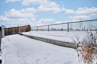 Photo 39: 22 HEWITT Circle: Spruce Grove House for sale : MLS®# E4324531