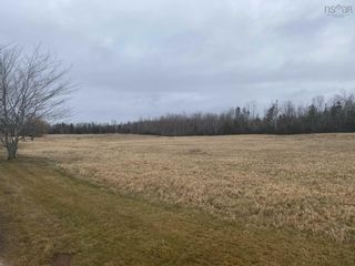 Photo 3: Lot 2 Highway 6 in Three Brooks: 108-Rural Pictou County Vacant Land for sale (Northern Region)  : MLS®# 202307928