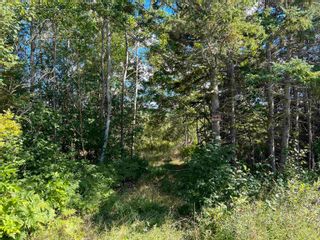 Photo 2: West River Station Road in Salt Springs: 108-Rural Pictou County Vacant Land for sale (Northern Region)  : MLS®# 202220517
