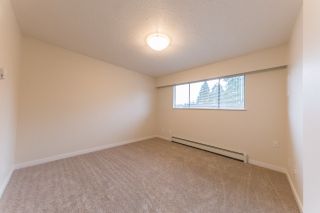 Photo 10: 21520 MAYO Place in Maple Ridge: West Central Townhouse for sale : MLS®# R2213133