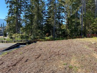Photo 2: 2466 Rosstown Rd in Nanaimo: Na Diver Lake Land for sale : MLS®# 915370