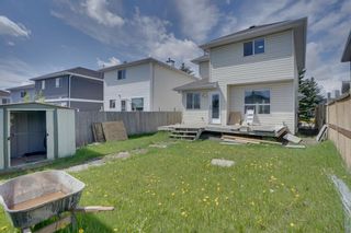 Photo 44: 215 Coral Springs Circle NE in Calgary: Coral Springs Detached for sale : MLS®# A2136038
