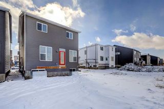 Photo 28: 169 BELMONT Green SW in Calgary: Belmont Detached for sale : MLS®# A2112555