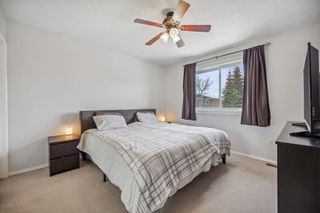 Photo 11: 85 Big Springs Drive SE: Airdrie Detached for sale : MLS®# A2127713