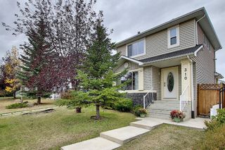 Photo 40: 310 BRIDLEWOOD Court SW in Calgary: Bridlewood Detached for sale : MLS®# A1035871