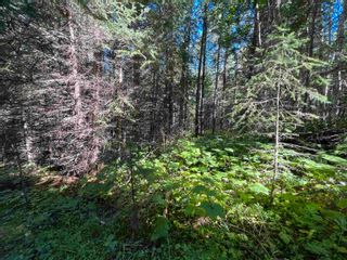 Photo 23: LOT 3 CAVE Road in Williams Lake: Horsefly Land for sale : MLS®# R2719437