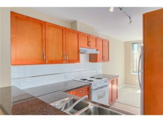 Photo 6: 903 4380 HALIFAX Street in Burnaby: Brentwood Park Condo for sale (Burnaby North)  : MLS®# V1073694