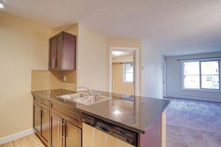 Photo 4: 1204 1317 27 Street SE in Calgary: Albert Park/Radisson Heights Apartment for sale : MLS®# A1236063