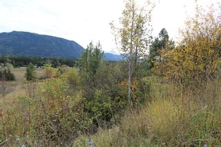 Photo 3: 36 2481 Squilax Anglemont Road in Lee Creek: North Shuswap Land Only for sale (Shuswap)  : MLS®# 10072100
