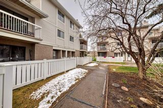 Photo 42: 14 3015 51 Street SW in Calgary: Glenbrook Row/Townhouse for sale : MLS®# A2128442