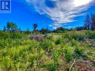 Photo 27: 67 Road to The Isles in Lewisporte, NL: Vacant Land for sale : MLS®# 1250291